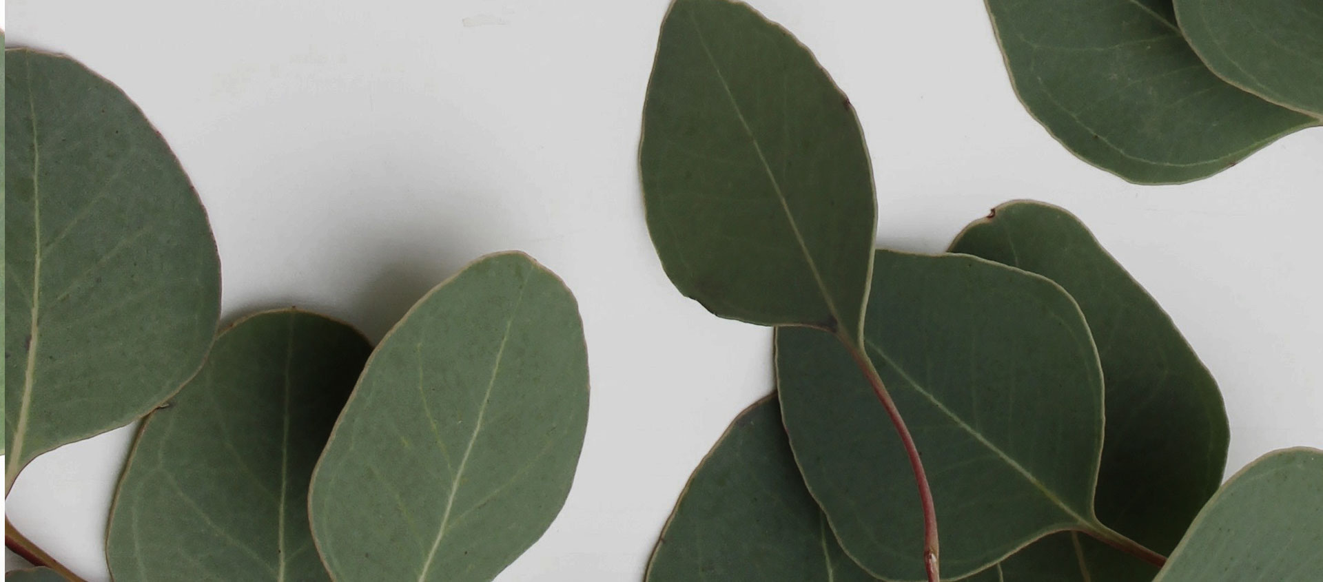 Взыскание ущерба от экологических правонарушений в Балахне